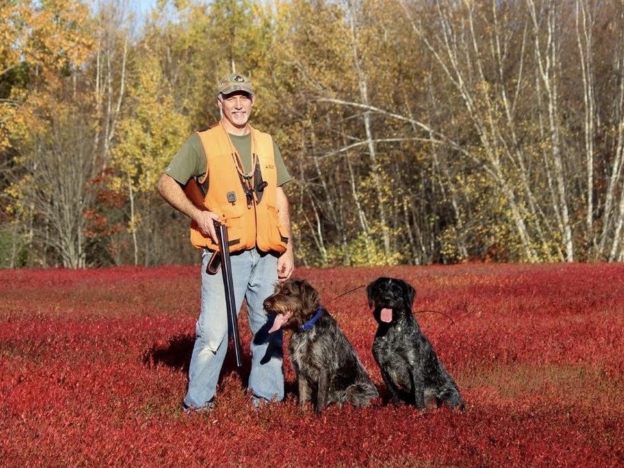 Charles Ellithorpe with his two wirehaired pointing dogs in a blueberry barren
