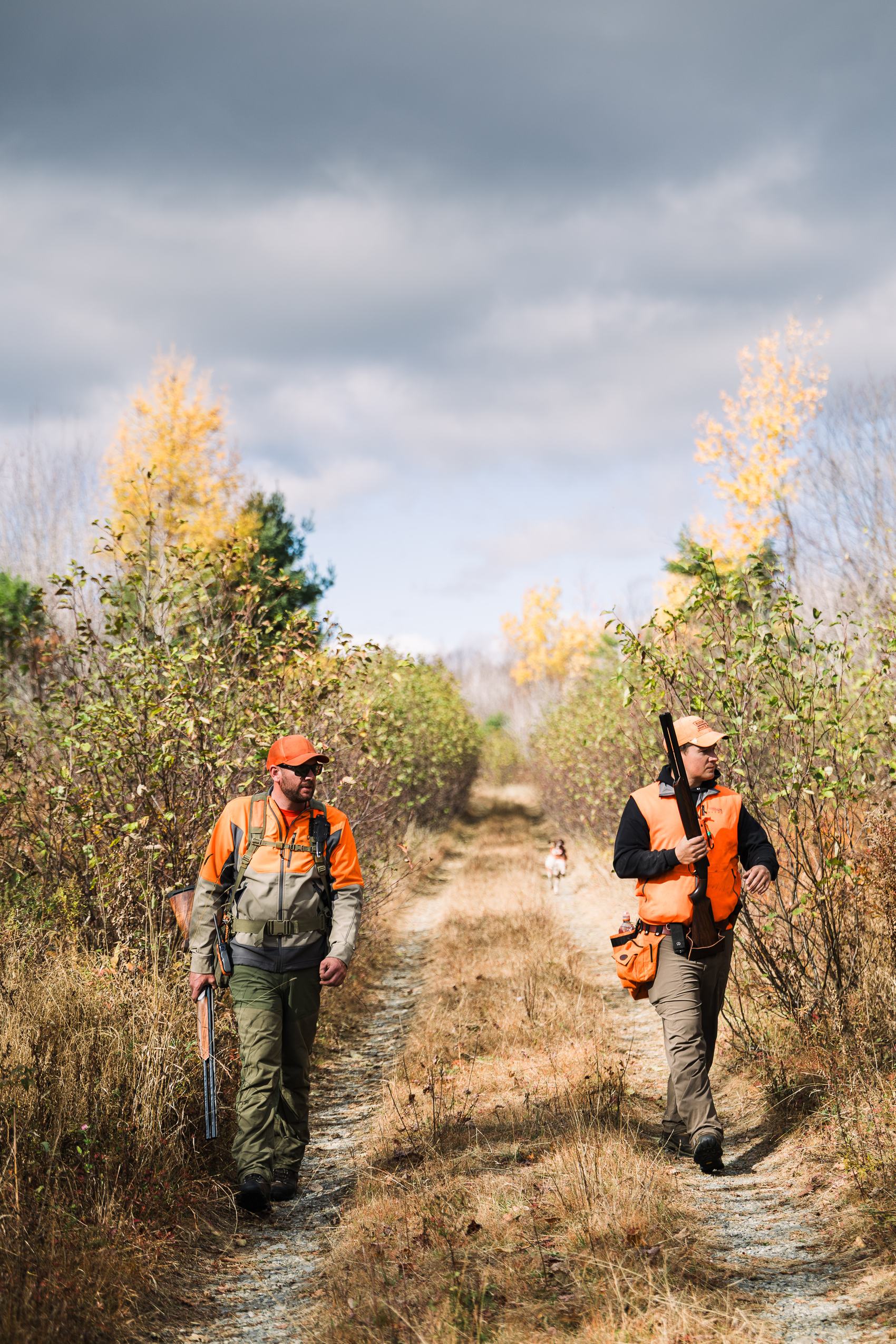 Two hunters walking a two-track in blaze orange with a dog working ahead