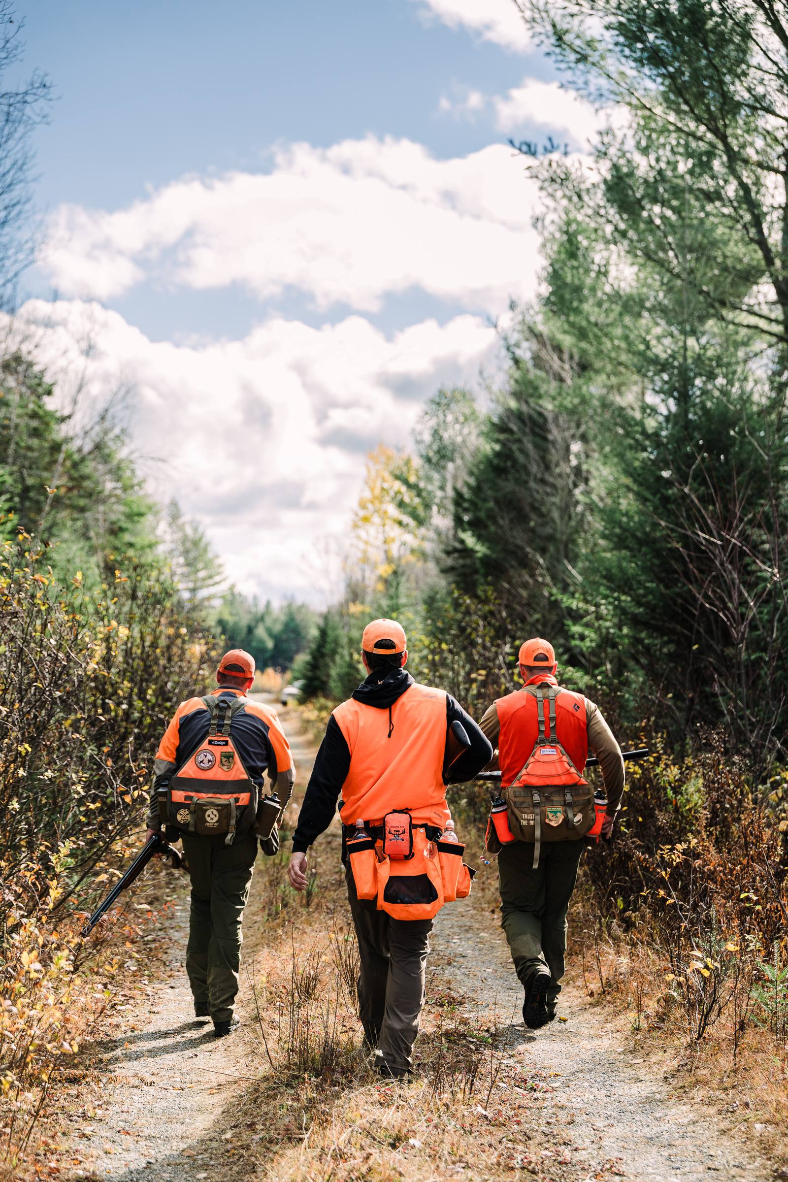 Three hunters in blaze orange walking up a two-track road through autumn cover